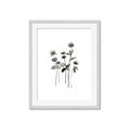 Picture of Black Botanical I  _GroupedProduct_Rectangle_Portrait_Framed_Matted_