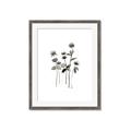 Picture of Black Botanical I  _GroupedProduct_Rectangle_Portrait_Framed_Matted_