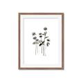 Picture of Black Botanical I  _GroupedProduct_Rectangle_Portrait_Framed_Matted_
