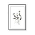 Picture of Black Botanical I  _GroupedProduct_Rectangle_Portrait_Framed_Matted_