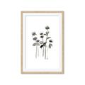 Picture of Black Botanical I  _GroupedProduct_Rectangle_Portrait_Framed_Matted_