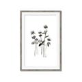 Picture of Black Botanical I  _GroupedProduct_Rectangle_Portrait_Framed_Matted_
