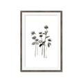 Picture of Black Botanical I  _GroupedProduct_Rectangle_Portrait_Framed_Matted_