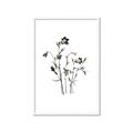 Picture of Black Botanical II  _GroupedProduct_Rectangle_Portrait_Framed_Matted_