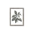 Picture of Black Watercolour Botanical I _GroupedProduct_Rectangle_Portrait_Framed_Matted_