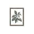 Picture of Black Watercolour Botanical I _GroupedProduct_Rectangle_Portrait_Framed_Matted_