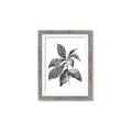 Picture of Black Watercolour Botanical I _GroupedProduct_Rectangle_Portrait_Framed_Matted_