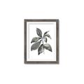 Picture of Black Watercolour Botanical I _GroupedProduct_Rectangle_Portrait_Framed_Matted_