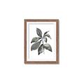 Picture of Black Watercolour Botanical I _GroupedProduct_Rectangle_Portrait_Framed_Matted_