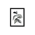 Picture of Black Watercolour Botanical II  _GroupedProduct_Rectangle_Portrait_Framed_Matted_