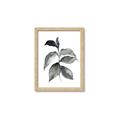 Picture of Black Watercolour Botanical II  _GroupedProduct_Rectangle_Portrait_Framed_Matted_