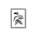 Picture of Black Watercolour Botanical II  _GroupedProduct_Rectangle_Portrait_Framed_Matted_