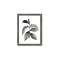 Picture of Black Watercolour Botanical II  _GroupedProduct_Rectangle_Portrait_Framed_Matted_