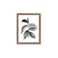 Picture of Black Watercolour Botanical II  _GroupedProduct_Rectangle_Portrait_Framed_Matted_