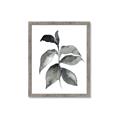 Picture of Black Watercolour Botanical II  _GroupedProduct_Rectangle_Portrait_Framed_Matted_