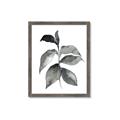 Picture of Black Watercolour Botanical II  _GroupedProduct_Rectangle_Portrait_Framed_Matted_