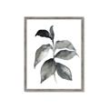 Picture of Black Watercolour Botanical II  _GroupedProduct_Rectangle_Portrait_Framed_Matted_