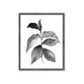Picture of Black Watercolour Botanical II  _GroupedProduct_Rectangle_Portrait_Framed_Matted_