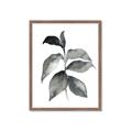 Picture of Black Watercolour Botanical II  _GroupedProduct_Rectangle_Portrait_Framed_Matted_