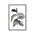 Picture of Black Watercolour Botanical II  _GroupedProduct_Rectangle_Portrait_Framed_Matted_