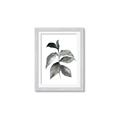 Picture of Black Watercolour Botanical II  _GroupedProduct_Rectangle_Portrait_Framed_Matted_
