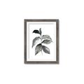 Picture of Black Watercolour Botanical II  _GroupedProduct_Rectangle_Portrait_Framed_Matted_