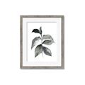 Picture of Black Watercolour Botanical II  _GroupedProduct_Rectangle_Portrait_Framed_Matted_