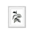 Picture of Black Watercolour Botanical II  _GroupedProduct_Rectangle_Portrait_Framed_Matted_
