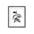 Picture of Black Watercolour Botanical II  _GroupedProduct_Rectangle_Portrait_Framed_Matted_