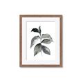 Picture of Black Watercolour Botanical II  _GroupedProduct_Rectangle_Portrait_Framed_Matted_