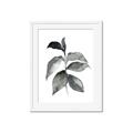 Picture of Black Watercolour Botanical II  _GroupedProduct_Rectangle_Portrait_Framed_Matted_