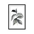 Picture of Black Watercolour Botanical II  _GroupedProduct_Rectangle_Portrait_Framed_Matted_