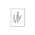 Picture of Whimsy Botanical I  _GroupedProduct_Rectangle_Portrait_Framed_Matted_