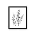 Picture of Whimsy Botanical I  _GroupedProduct_Rectangle_Portrait_Framed_Matted_