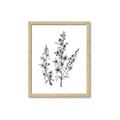 Picture of Whimsy Botanical I  _GroupedProduct_Rectangle_Portrait_Framed_Matted_