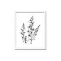 Picture of Whimsy Botanical I  _GroupedProduct_Rectangle_Portrait_Framed_Matted_