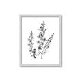 Picture of Whimsy Botanical I  _GroupedProduct_Rectangle_Portrait_Framed_Matted_