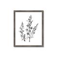 Picture of Whimsy Botanical I  _GroupedProduct_Rectangle_Portrait_Framed_Matted_