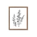 Picture of Whimsy Botanical I  _GroupedProduct_Rectangle_Portrait_Framed_Matted_