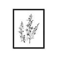 Picture of Whimsy Botanical I  _GroupedProduct_Rectangle_Portrait_Framed_Matted_