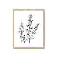 Picture of Whimsy Botanical I  _GroupedProduct_Rectangle_Portrait_Framed_Matted_