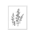 Picture of Whimsy Botanical I  _GroupedProduct_Rectangle_Portrait_Framed_Matted_