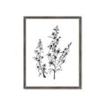 Picture of Whimsy Botanical I  _GroupedProduct_Rectangle_Portrait_Framed_Matted_
