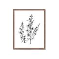 Picture of Whimsy Botanical I  _GroupedProduct_Rectangle_Portrait_Framed_Matted_