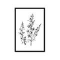Picture of Whimsy Botanical I  _GroupedProduct_Rectangle_Portrait_Framed_Matted_