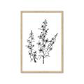 Picture of Whimsy Botanical I  _GroupedProduct_Rectangle_Portrait_Framed_Matted_