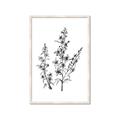 Picture of Whimsy Botanical I  _GroupedProduct_Rectangle_Portrait_Framed_Matted_