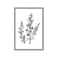 Picture of Whimsy Botanical I  _GroupedProduct_Rectangle_Portrait_Framed_Matted_