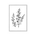 Picture of Whimsy Botanical I  _GroupedProduct_Rectangle_Portrait_Framed_Matted_
