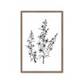 Picture of Whimsy Botanical I  _GroupedProduct_Rectangle_Portrait_Framed_Matted_